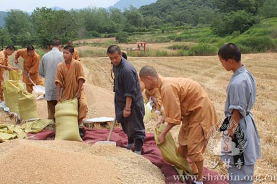 http://www.shaolin.org.cn/upload/fckeditor/少林寺禅耕农场，麦收正当时1-水.jpg