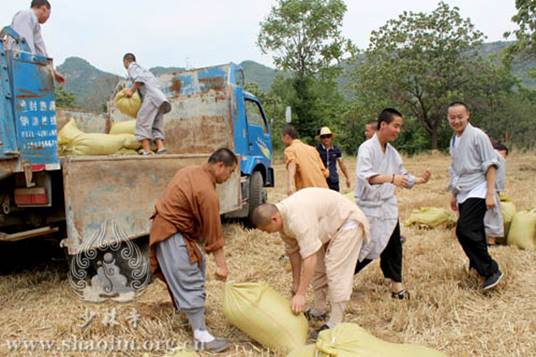 http://www.shaolin.org.cn/upload/fckeditor/少林寺禅耕农场，麦收正当时10-水.jpg