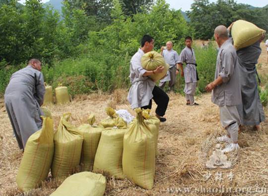 http://www.shaolin.org.cn/upload/fckeditor/少林寺禅耕农场，麦收正当时4-水.jpg