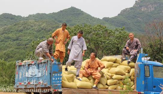 http://www.shaolin.org.cn/upload/fckeditor/少林寺禅耕农场，麦收正当时11-水.jpg